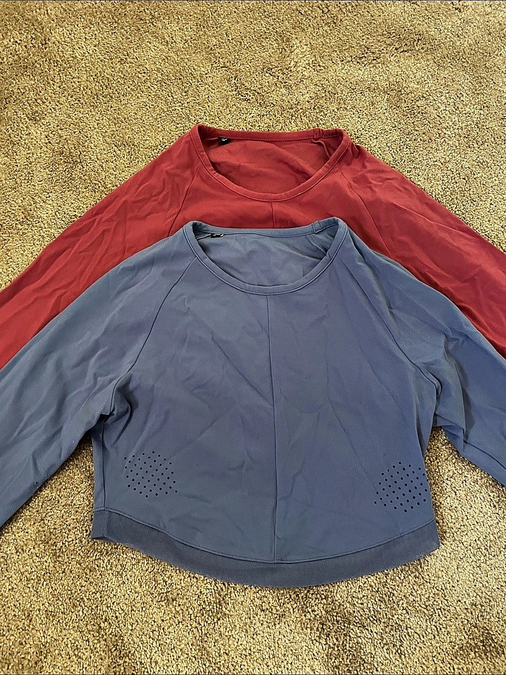 Gym shark (Whitney Simmon’s collection) Long Sleeve Athletic Tops Blue & Pink